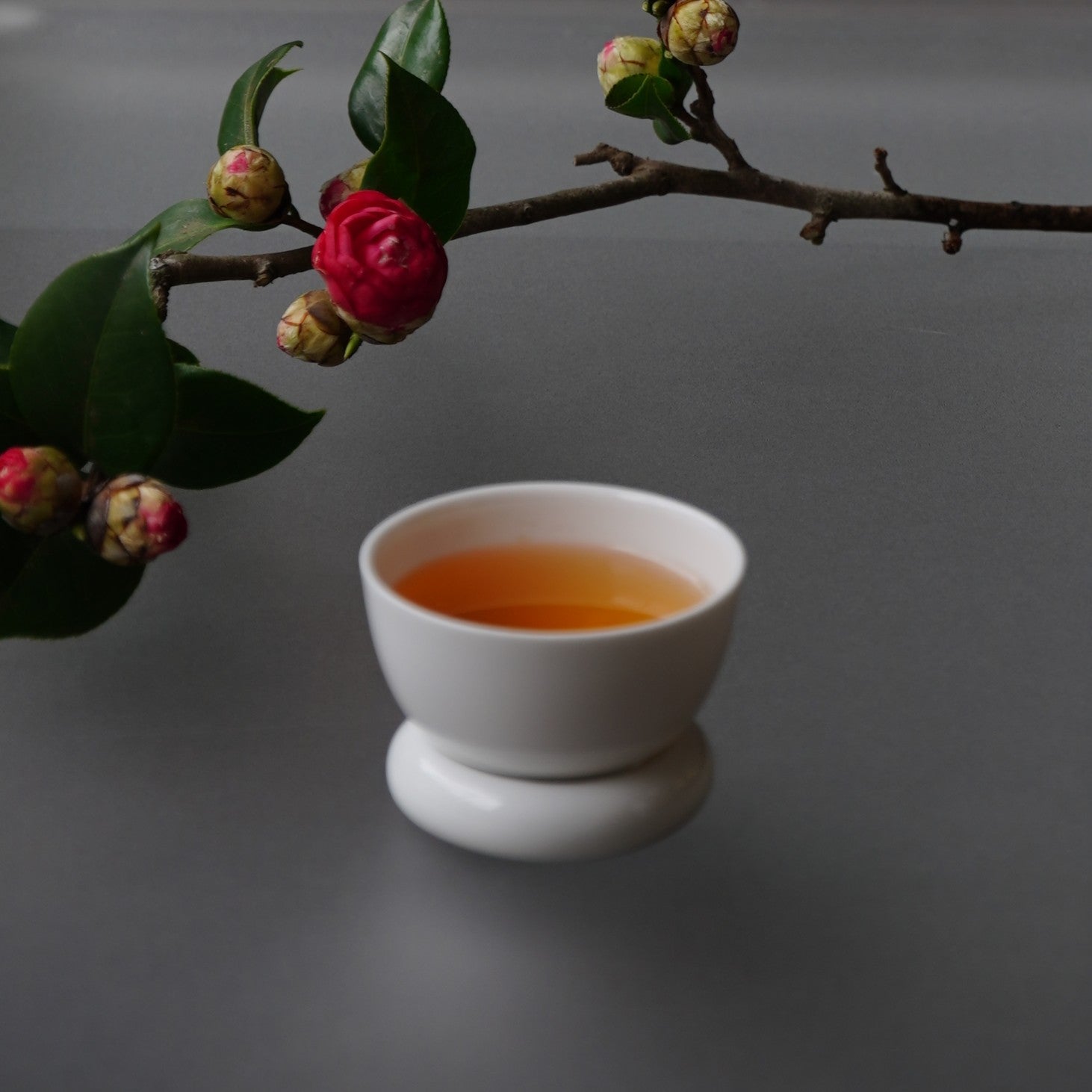 日出望月與圓好夢亮面白瓷茶杯與花藝|溫潤透明釉與極簡東方美學