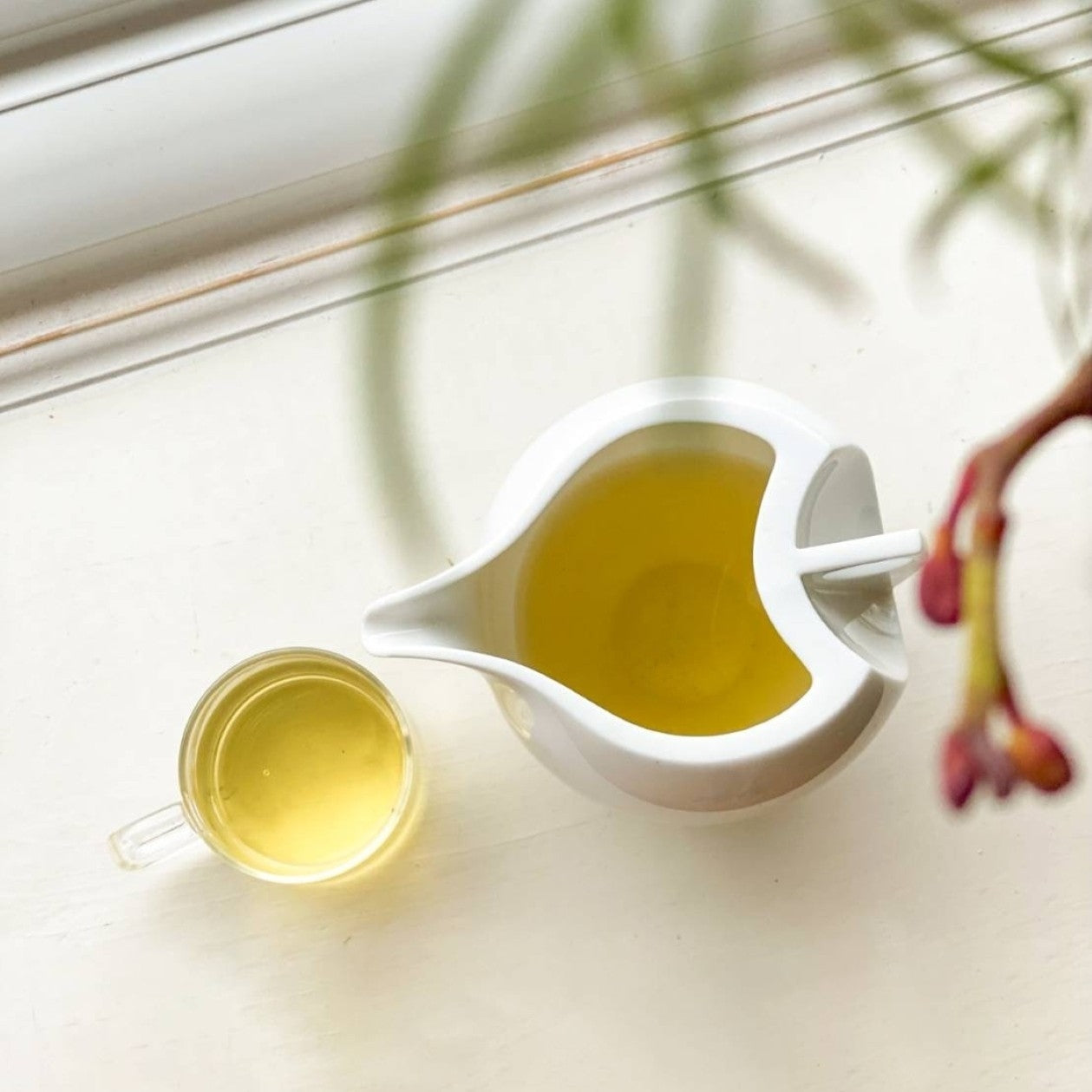 艷陽奶盅茶海與圓形杯盤俯視照|透明釉白瓷質感細節