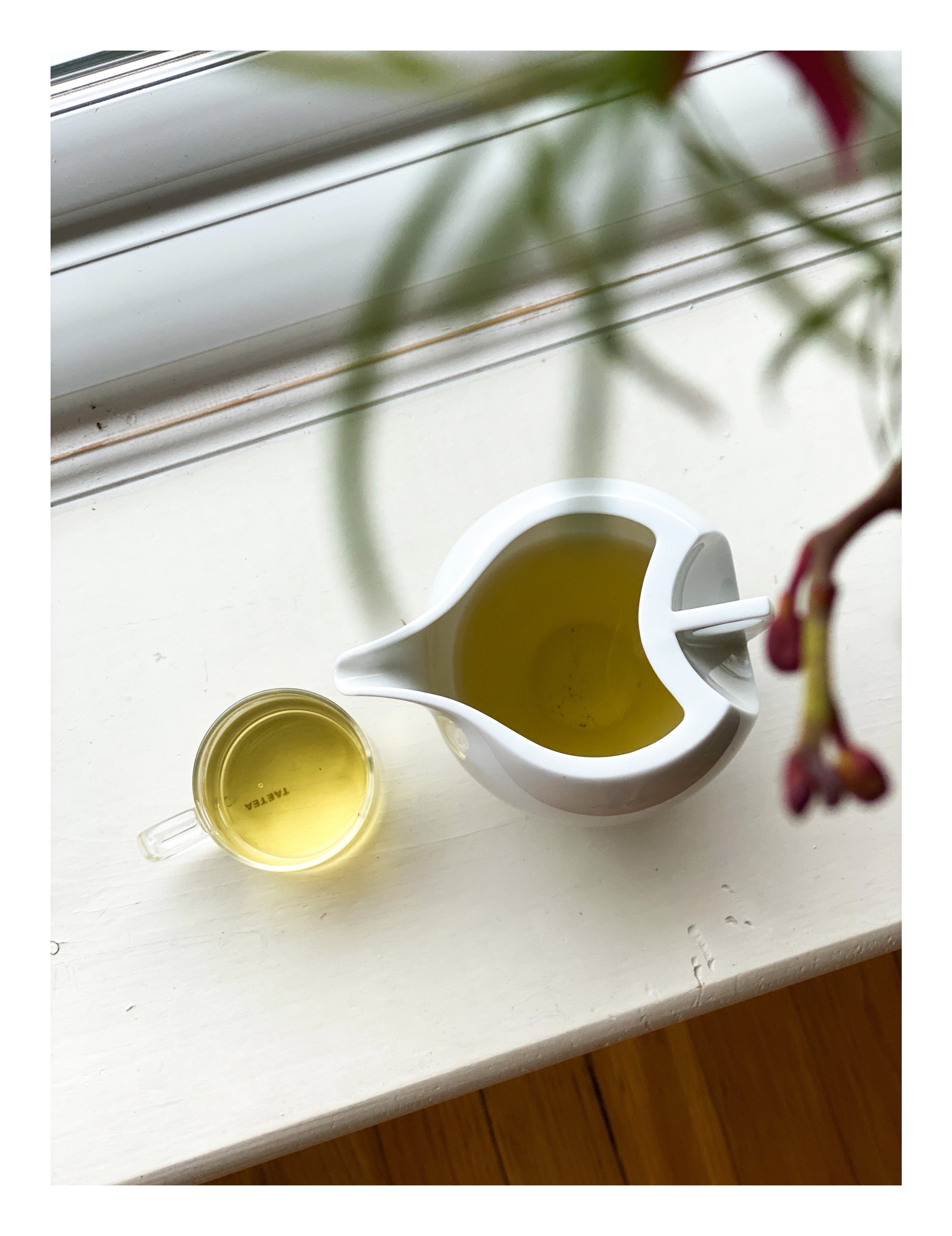 艷陽茶海與圓形杯盤俯視照|透明釉白瓷質感細節