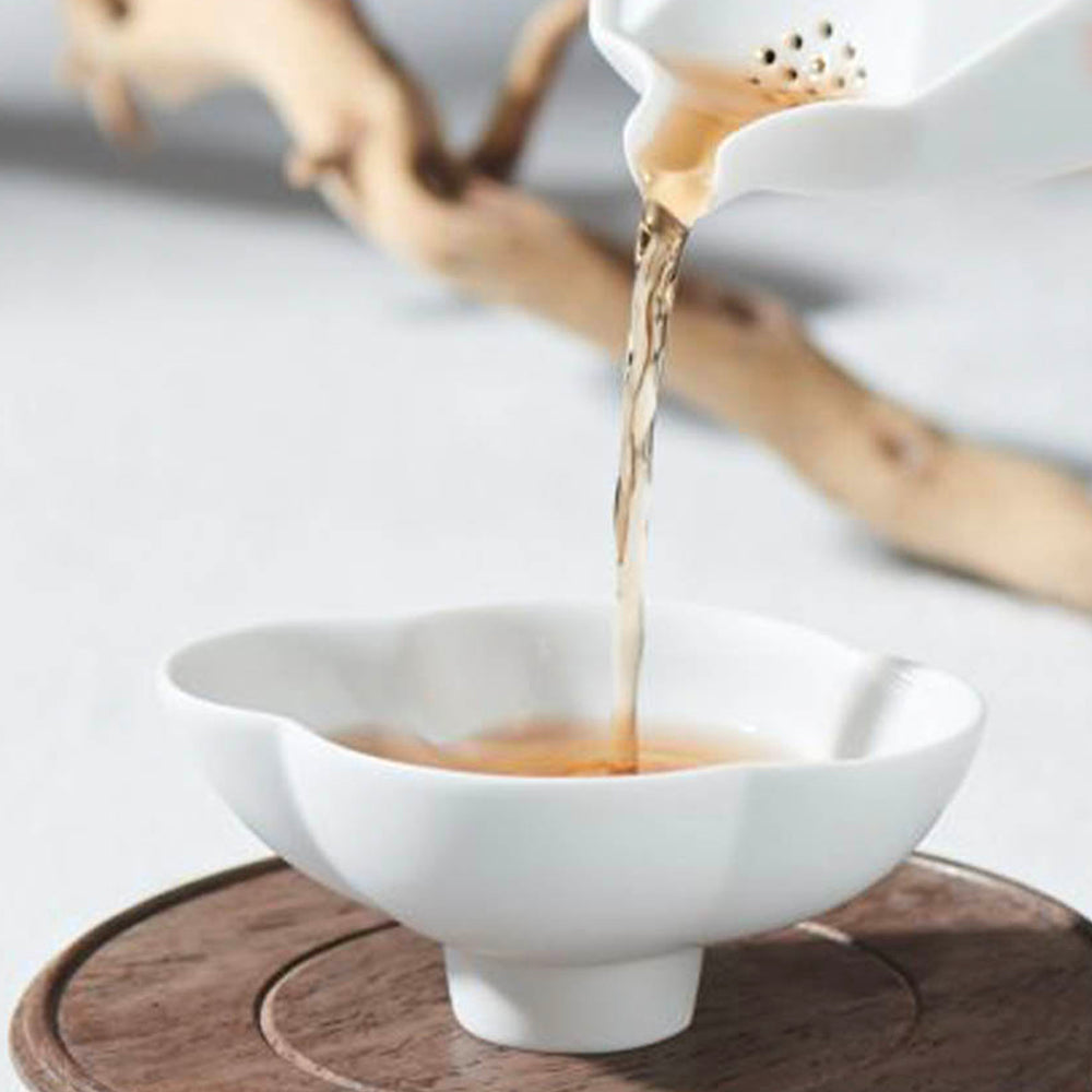 行雲白瓷茶壺倒茶畫面|適合綠茶與輕發酵茶沖泡
