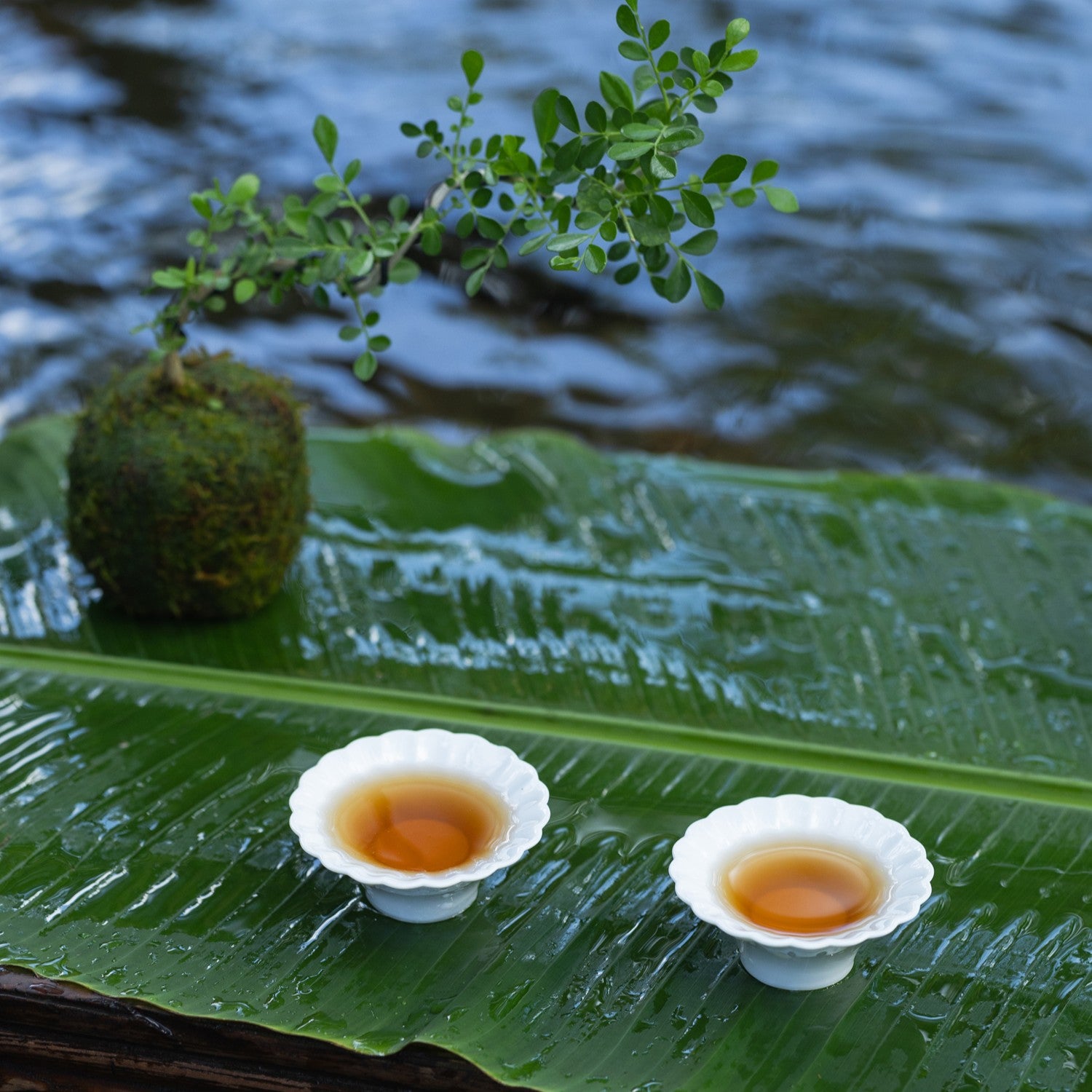 茶香與光影在白瓷上流轉,如山水交映
