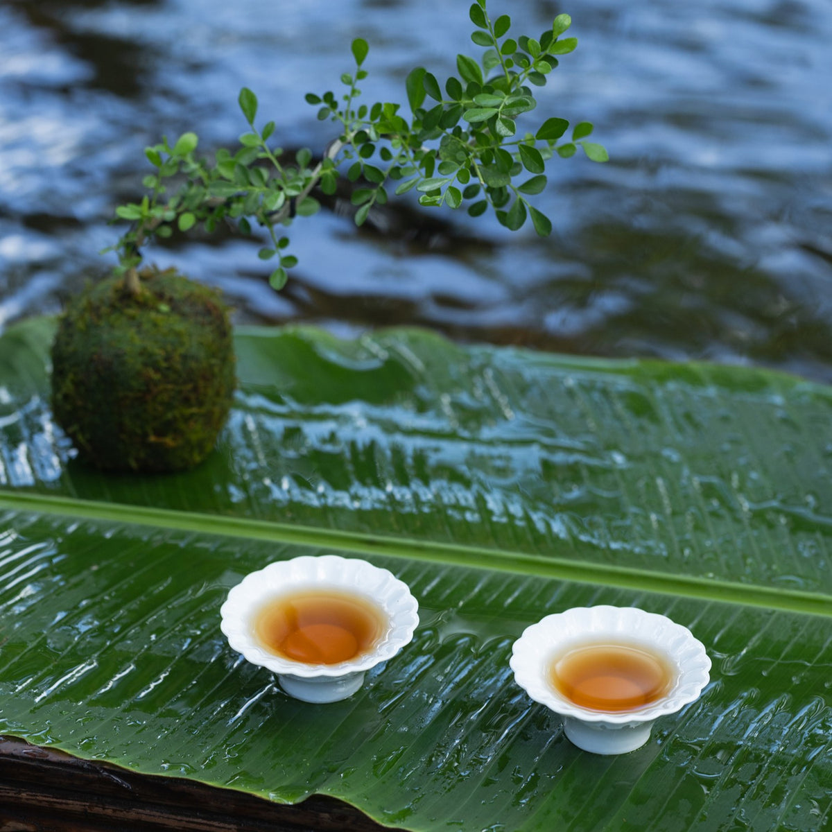 茶香與光影在白瓷上流轉,如山水交映 珍珠杯