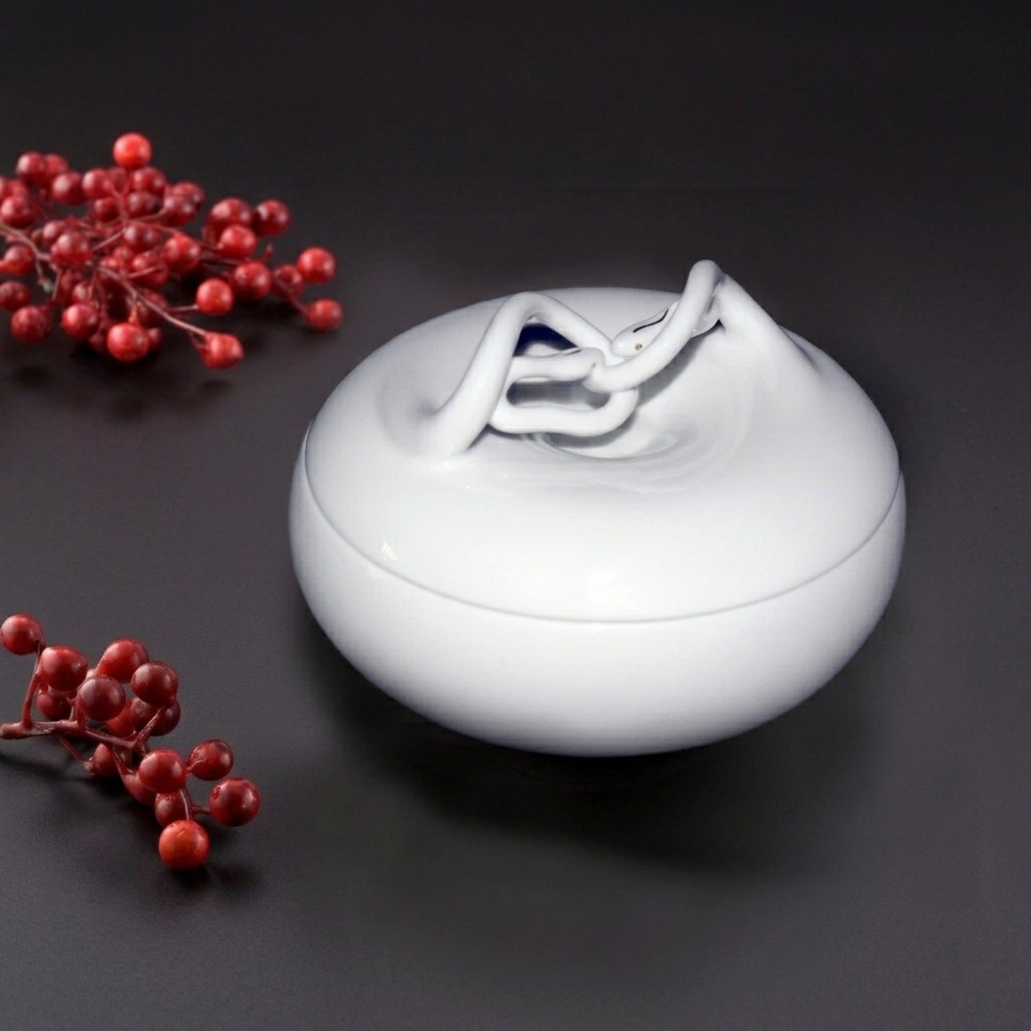 Bound- Snake Porcelain Trinket Box 