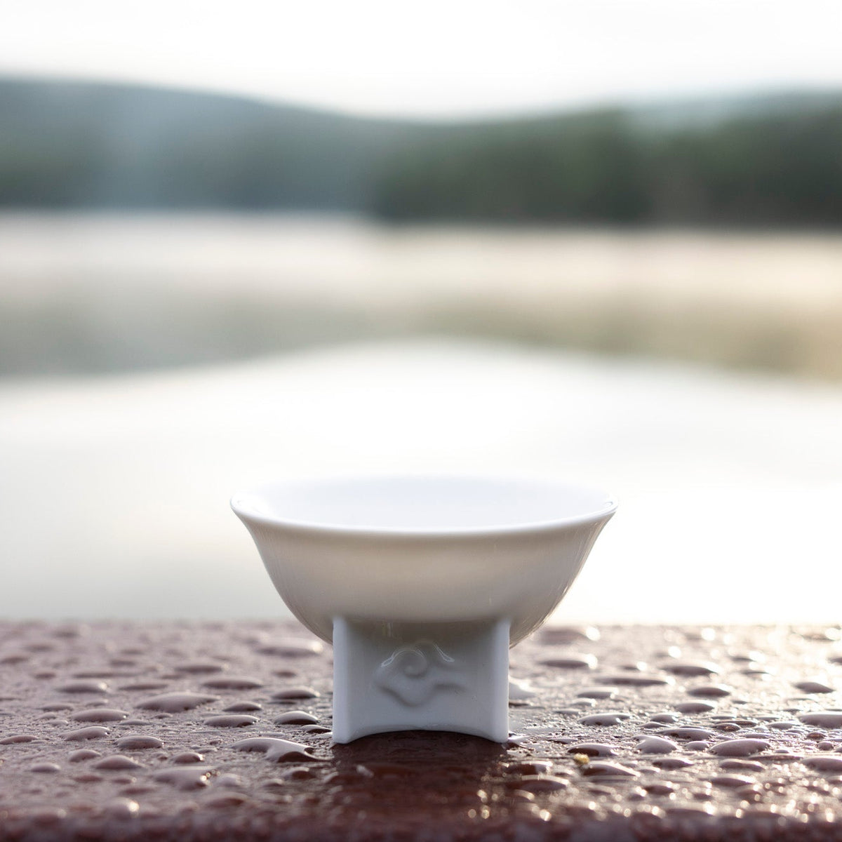 〈如意雲遊〉茶杯，背景是湖景